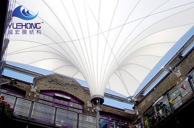 17697568683001576601.jpg 214.jpg